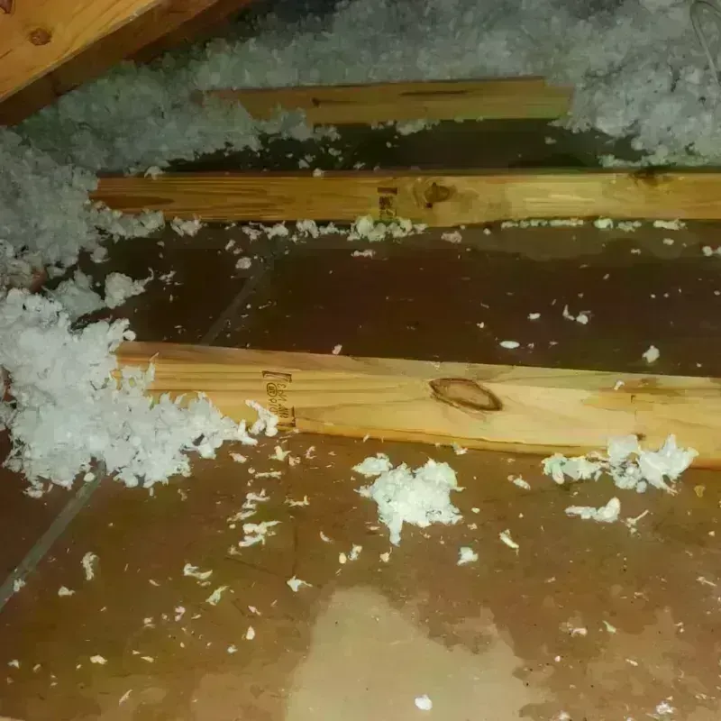 Attic Water Damage in Glandorf, OH