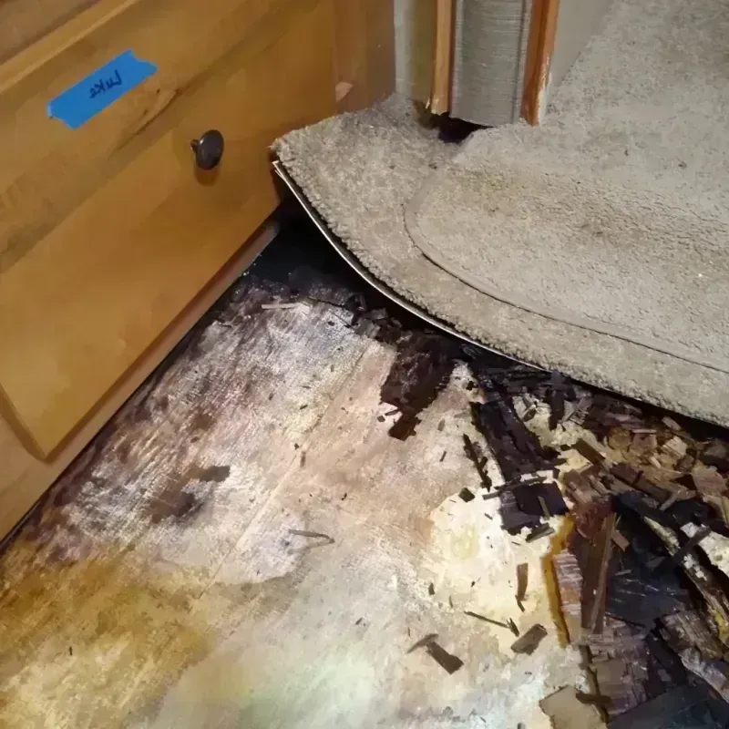 Wood Floor Water Damage in Glandorf, OH